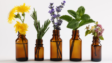 Natural Remedies for Digestive Health: gentle fixes
